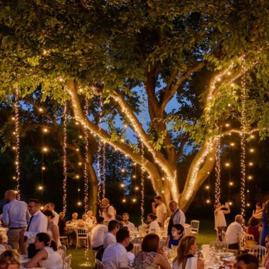 Bright fairy lights hanging from a tree at an evening event