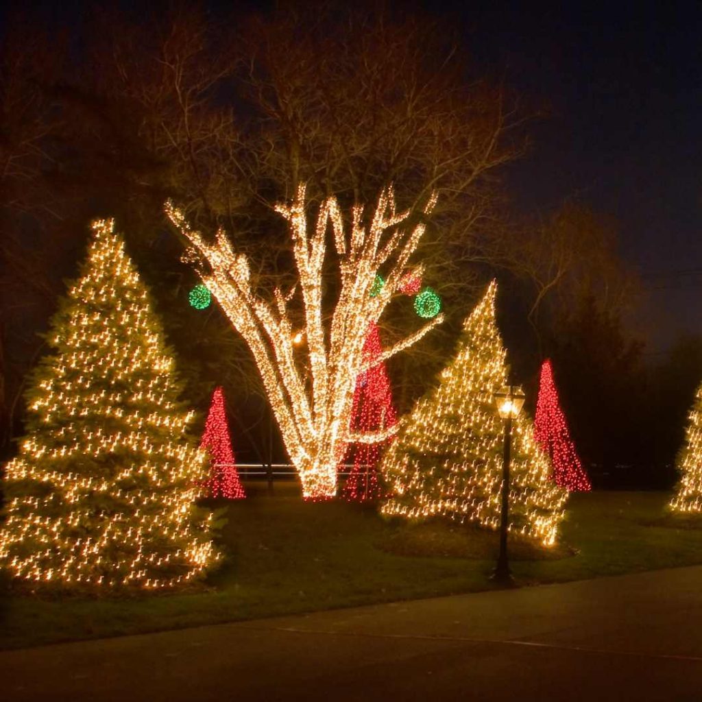 Permanent LED Decorative Lighting Install in Hunter Valley